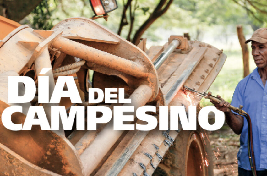  Este domingo se celebrará el Día del Campesino en Pitalito