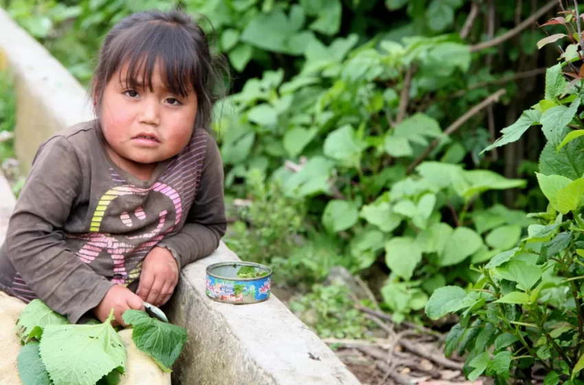 Huila reporta más de 300 casos de desnutrición infantil