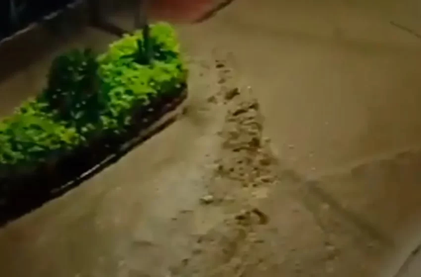  Emergencia en Mesitas del Colegio: varias casas afectadas por desbordamiento de quebrada