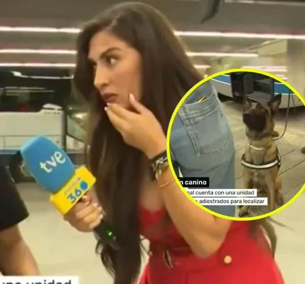 Perro detectó droga durante informe de noticiero en vivo y reacción de periodista es viral.