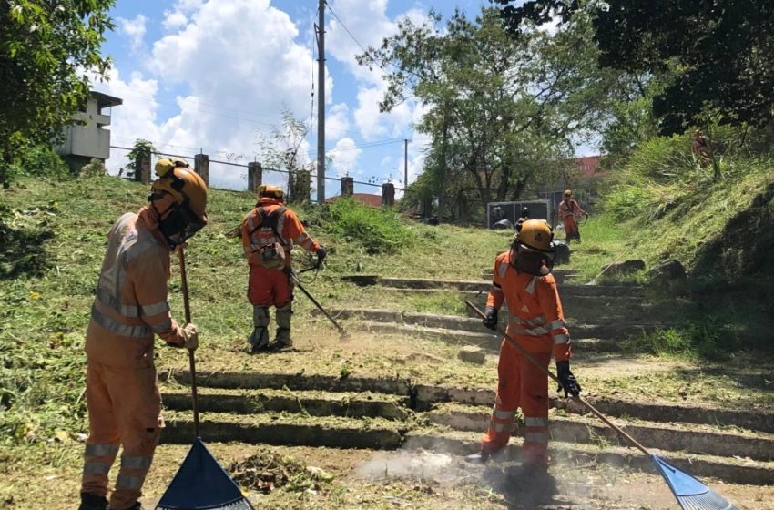  Se disminuye las cuadras de barrido, poda de césped, pero sube la tarifa de aseo en Pitalito