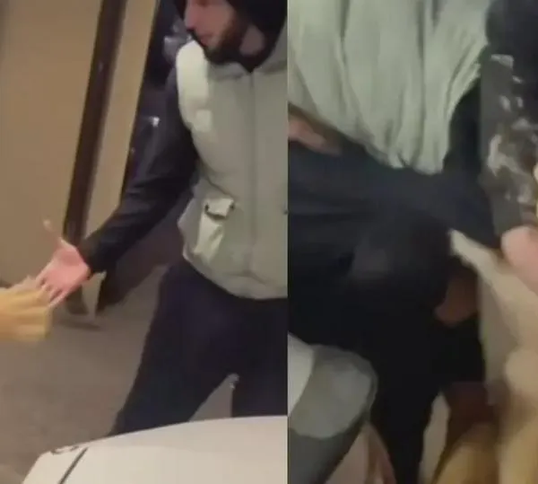  El impactante ataque de un león paseado con correa en Rusia reabre el debate sobre animales salvajes como mascotas