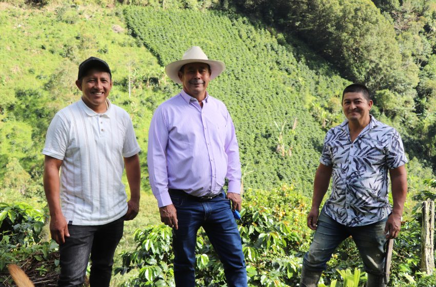 Liderazgo de Base y Excelencia Cafetera: La Apuesta de Edwin Uní y Luis Jojoa para el Comité de cafeteros en Pitalito