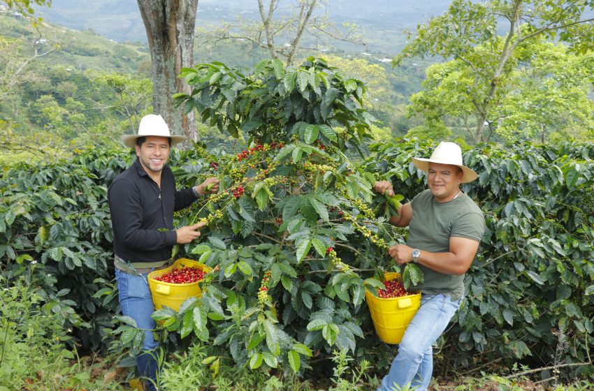 Liderazgo y Relevo Generacional: La Apuesta de Chillurco para el Comité Municipal de Cafeteros